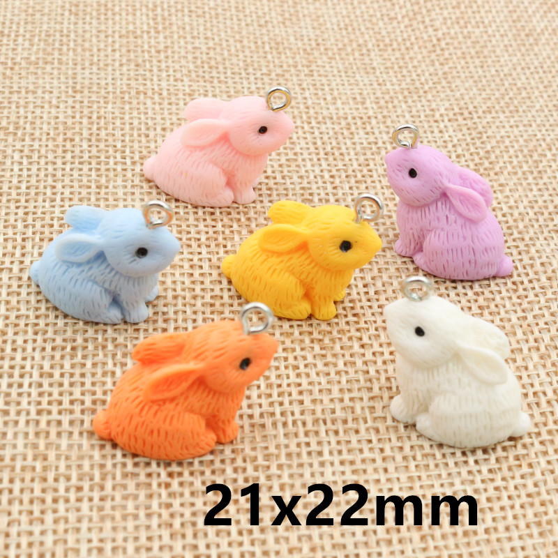 10PCS Resin Pendant Charms Rab - Resin Art Pendant recension och pris